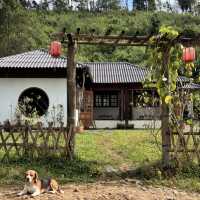 🌿✨ Northern Thailand Hidden Gem — Ban Rak Thai (Love Thai Village) 