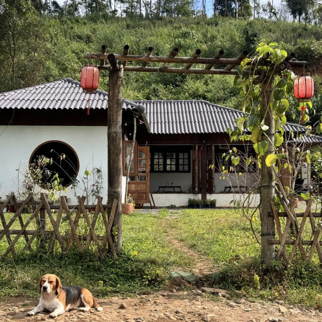 🌿✨ Northern Thailand Hidden Gem — Ban Rak Thai (Love Thai Village) 