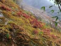 Exploring the majesty trekking in Northen Vietnam