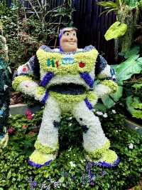 Garden of Wonder — Disney Magic in Full Bloom at Gardens by the Bay