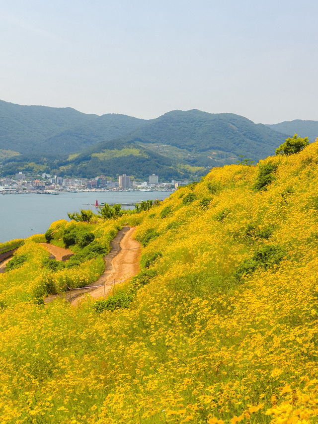 동화 속에 나올것처럼 비현실적이었던 꽃밭💛  