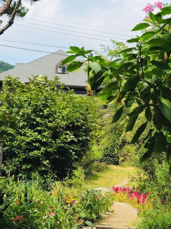 Relax and Recharge at Divine Garden: A Lovely Spot in Okcheon