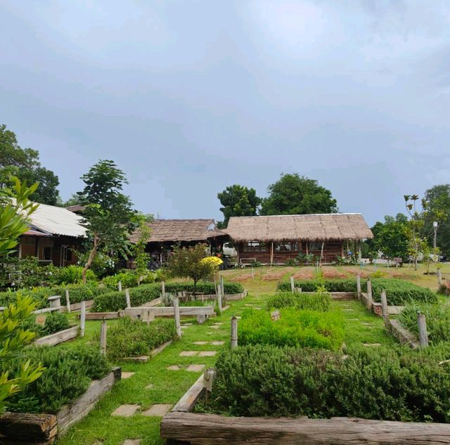 ตาวีฟาร์ม ปากช่อง นครราชสีมา