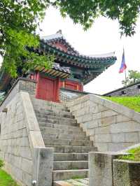Hidden History & Chill Walks at Deokjinjin Fort