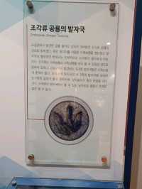 아이와 함께하는 공룡 나들이 명소!