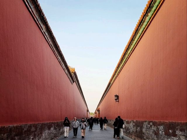The Dragon's Sanctuary: Unveiling the Forbidden City
