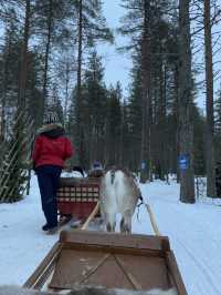 【フィンランド🇫🇮】サンタクロースに会える？！サンタクロースヴィレッジ🎅🏼