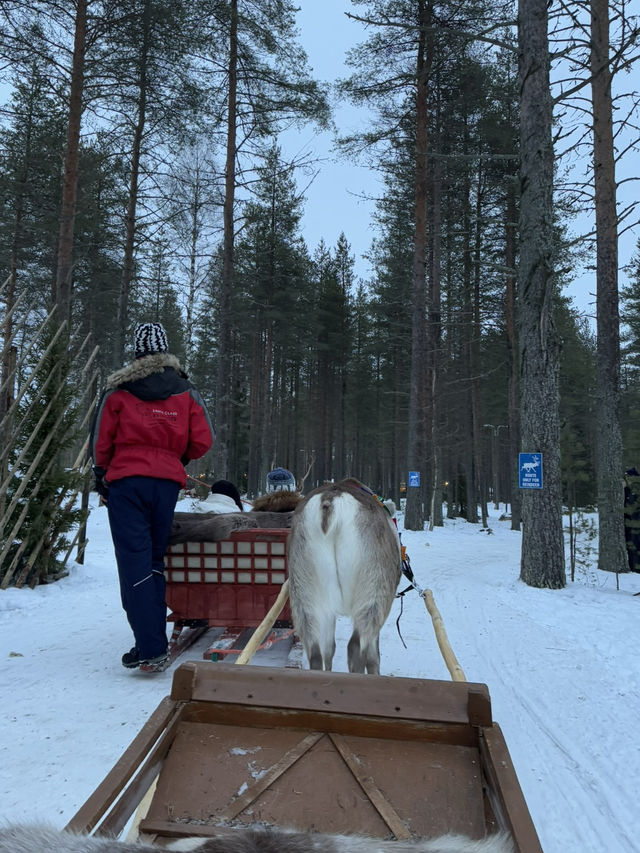 【フィンランド🇫🇮】サンタクロースに会える？！サンタクロースヴィレッジ🎅🏼
