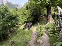 【Valbonë〜Theth ハイキング②｜16kmの絶景トレイルを歩く】 呪われた山を越え、アルバニアの秘境テス村へ