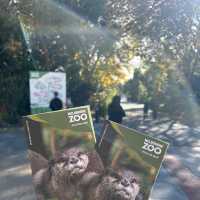 Melbourne Zoo – Melbourne, VIC
