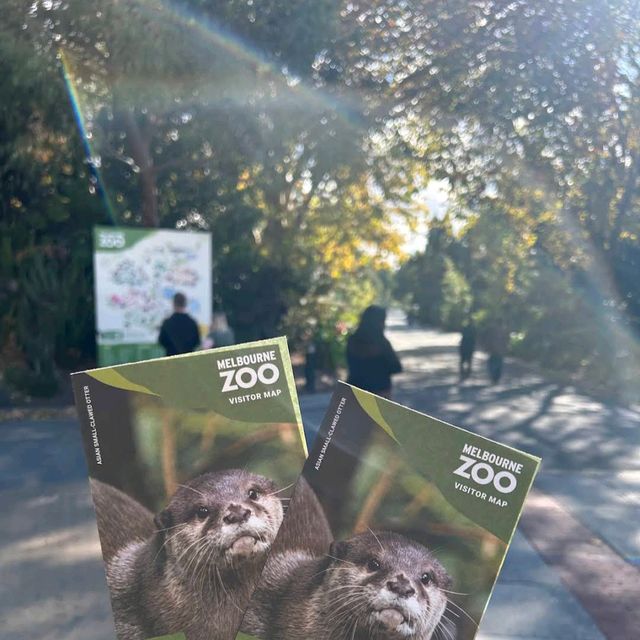 Melbourne Zoo – Melbourne, VIC