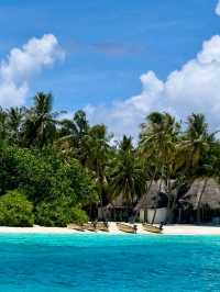 🌺 Gili Lankanfushi Maldives – A Whisper of Heaven Over Water 🌊✨