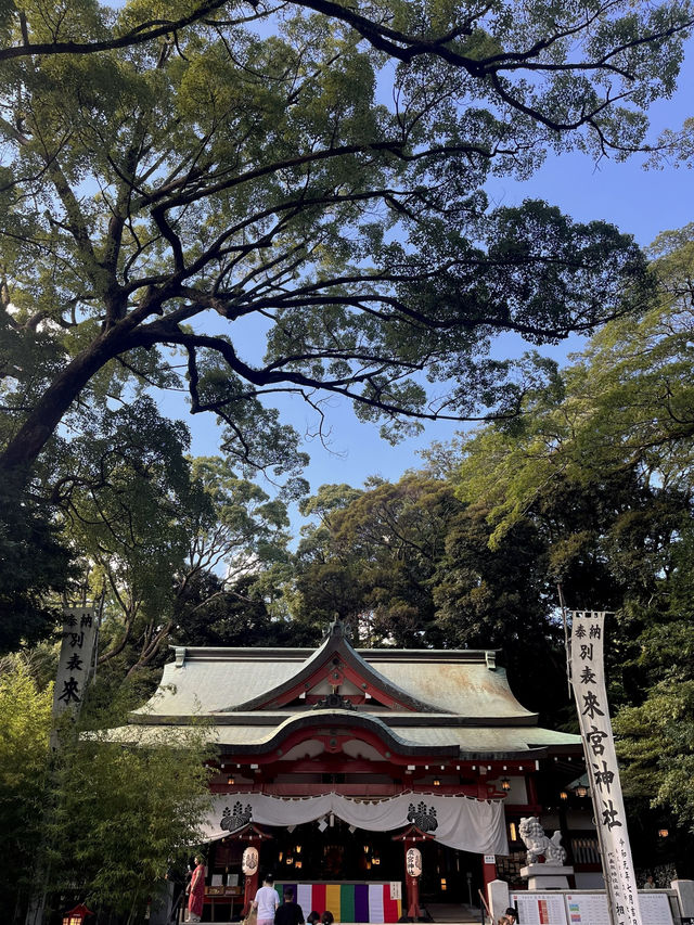 🌿【熱海・來宮神宮】樹齢2000年の御神木に会いに行く、癒しのパワースポット