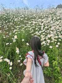 지금 놓치면 일년 기다려야돼요!!!
