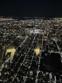 東京漫遊：新年的祝福與光影的詩篇