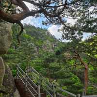 Battle Rock: History, Views, and a Little Sweat