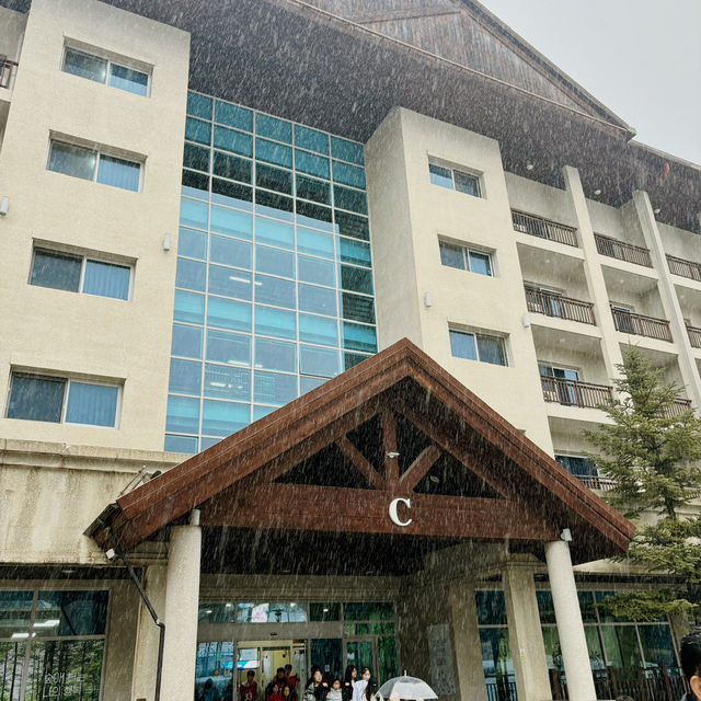  High One滑雪場簡評：江原道的冬日仙境❄️