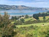 Otago Peninsula