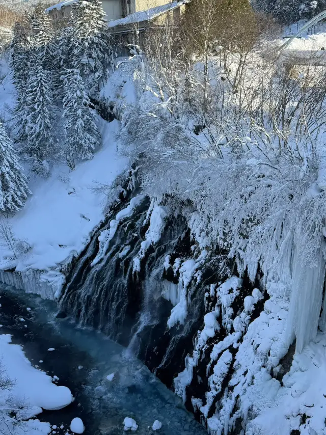 冬天去北海道的理由