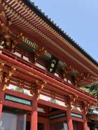 鎌倉のんびりひとり旅はいかがですか？🍃