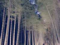 【京都】世界遺産　嵐山の「天龍寺」