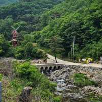 Misty Magic on Minjujisan