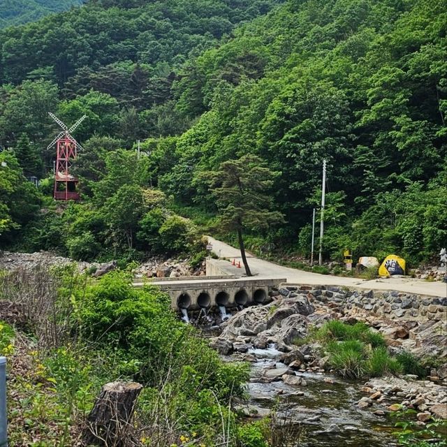 Misty Magic on Minjujisan