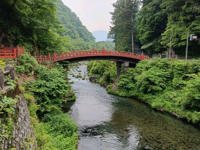 Self drive to experience Edo period traditions and sights to modern city
