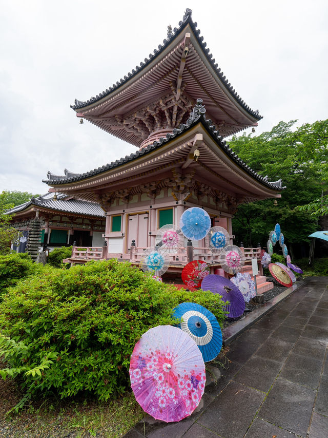 本気の奈良！あじさゐ回廊開催中 眼病平穏のご利益あり✨👀