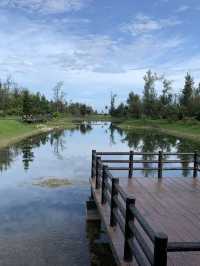 台灣東部 後花園 台東森林公園