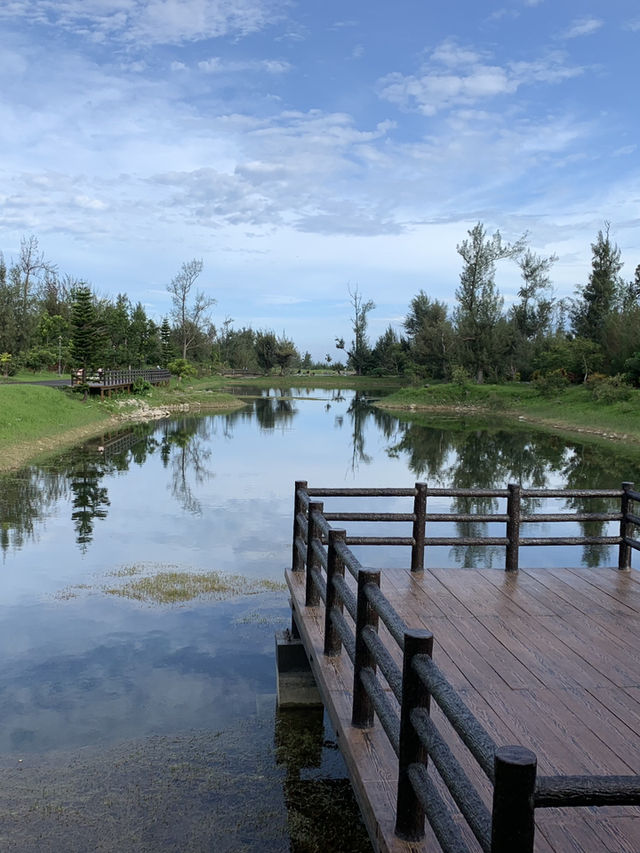 台灣東部 後花園 台東森林公園