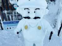 樹冰高原中的滑雪天堂❄️