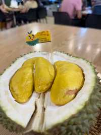 🌰 Durian Dreams Delivered: A Musang King Feast at DKing SS2 👑