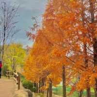 🌸 부산 화명동 힐링 산책여행코스 추천! 🌿