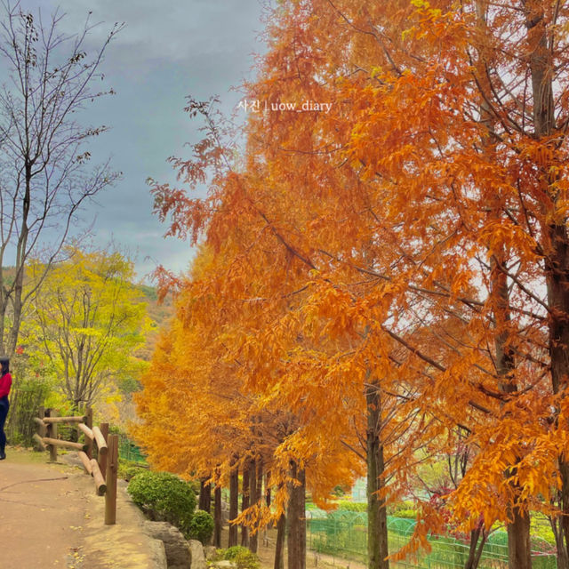 🌸 부산 화명동 힐링 산책여행코스 추천! 🌿