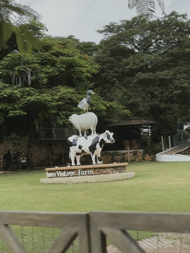 The Scenery Vintage Farm 🌳🍃🎪 สวนผึ้ง
