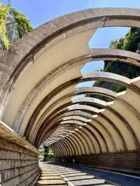 Summer Escape to Kamakura: Ancient Temples, Ocean Breezes & Hydrangea Magic