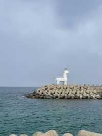 제주 공항 근처 여행코스 3곳 이렇게만 가면 성공 🌊