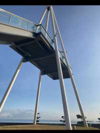 天然の生簀・氷見漁港で海の恵みを満喫🐟