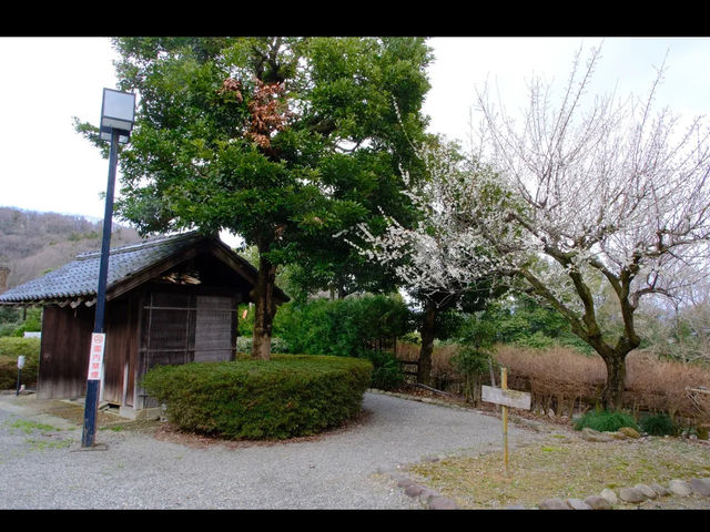 【おさごえ民家園で江戸時代にタイムスリップ】福井の暮らしを感じる旅🏡🕰️