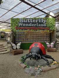Happy Bee Farm & Insect World, A Buzzing Blend of Nature and Discovery