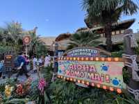 🏰 Disneyland Tokyo – A Magical Day for the Whole Family