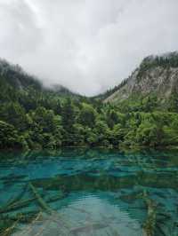 Ultimate Jiuzhaigou Valley Guide: China's Most Breathtaking UNESCO Paradise