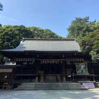【平塚】アヒルの神様がいる神社🪿平塚八幡宮🇯🇵