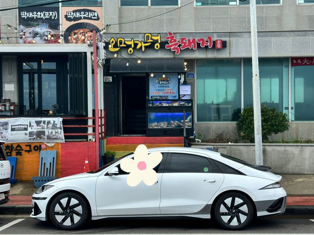 📸少女心爆棚的海岸公路！《彩虹海岸路+紅白馬燈塔》夢幻打卡組合，美到每一步都不想走快！🌈🐎🌊 