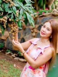  Maple Gardens กาญจนบุรี