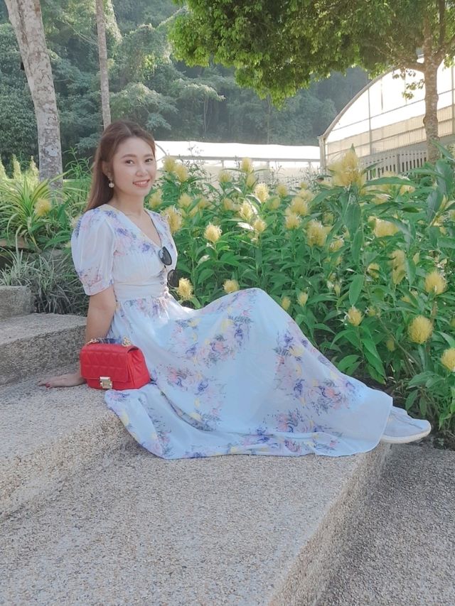 สวนพฤกษศาสตร์สมเด็จพระนางเจ้าสิริกิติ์ เชียงใหม่