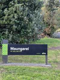 Mount Wellington｜在城市邊緣遠眺火山地形的遺跡 