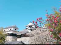 【松山城】天空の城で歴史ロマンに浸る旅🏯✨