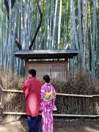 Lost in the Bamboo Sauce: A Stroll Through Arashiyama Bamboo Forest 